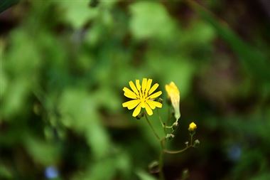 國(guó)家發(fā)展改革委與德國(guó)聯(lián)邦經(jīng)濟(jì)和能源部簽署兩國(guó)政府間《關(guān)于延續(xù)氣候變化和綠色轉(zhuǎn)型對(duì)話(huà)合作機(jī)制的聯(lián)合聲明》